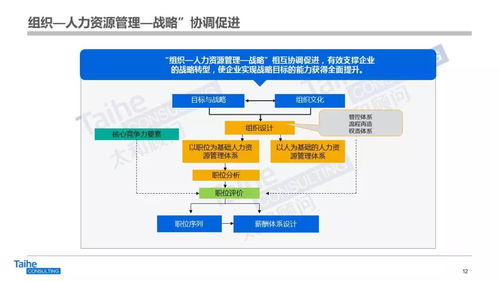 构建以网络技术开发为驱动的人力资源管理体系，助力企业实现跨越式发展